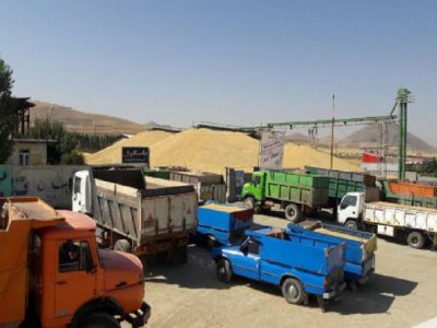 حمل و خروج گندم بدون مجوز از استان اردبیل ممنوع است